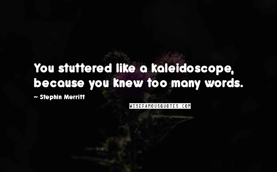 Stephin Merritt Quotes: You stuttered like a kaleidoscope, because you knew too many words.
