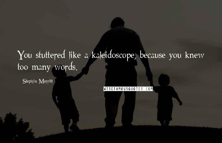 Stephin Merritt Quotes: You stuttered like a kaleidoscope, because you knew too many words.