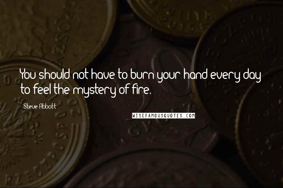 Steve Abbott Quotes: You should not have to burn your hand every day to feel the mystery of fire.