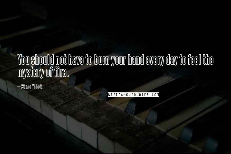 Steve Abbott Quotes: You should not have to burn your hand every day to feel the mystery of fire.