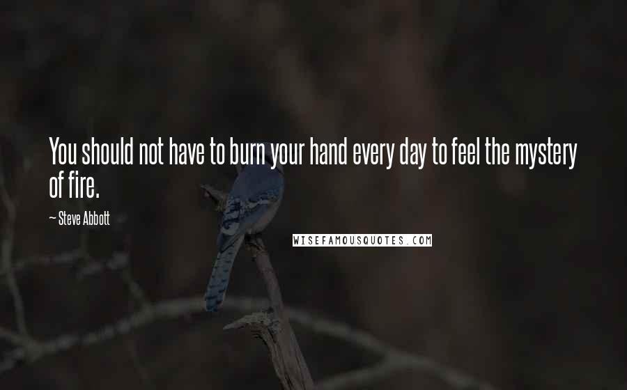 Steve Abbott Quotes: You should not have to burn your hand every day to feel the mystery of fire.