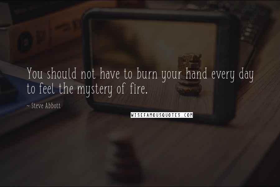 Steve Abbott Quotes: You should not have to burn your hand every day to feel the mystery of fire.