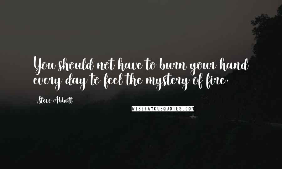 Steve Abbott Quotes: You should not have to burn your hand every day to feel the mystery of fire.