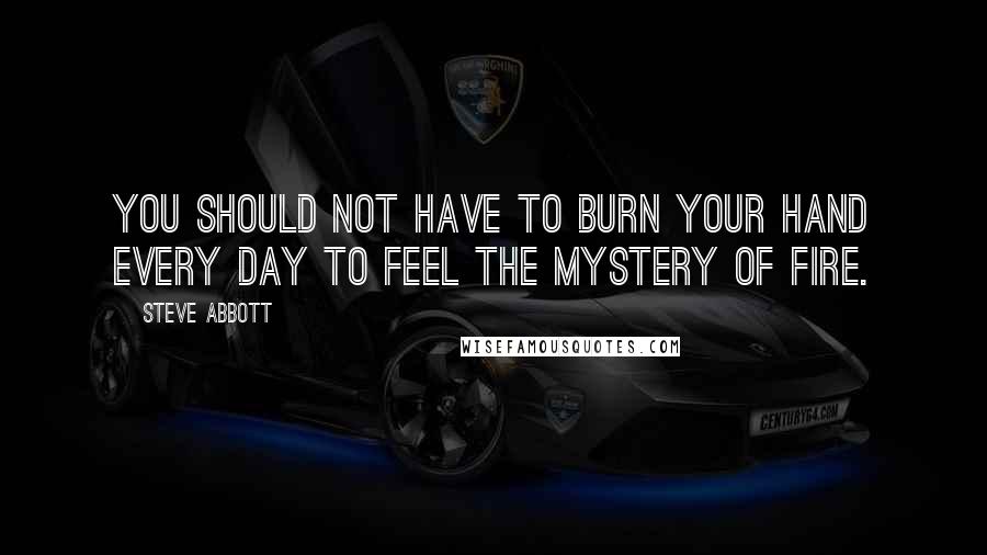 Steve Abbott Quotes: You should not have to burn your hand every day to feel the mystery of fire.