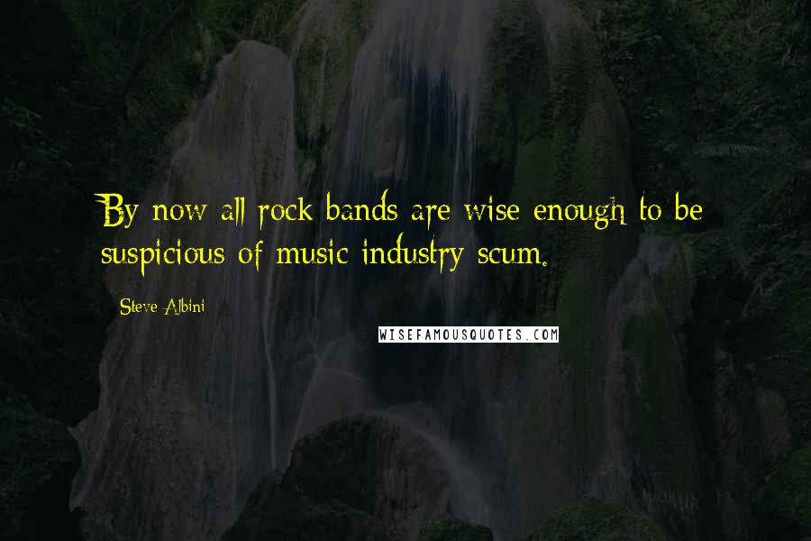 Steve Albini Quotes: By now all rock bands are wise enough to be suspicious of music industry scum.