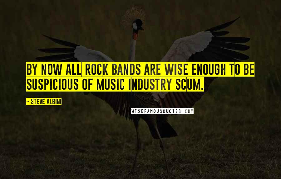 Steve Albini Quotes: By now all rock bands are wise enough to be suspicious of music industry scum.