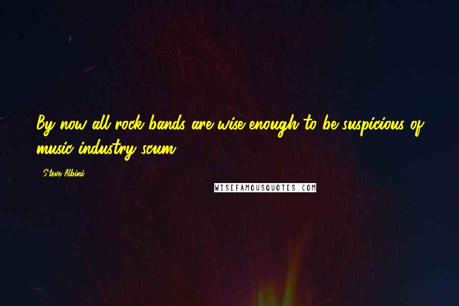 Steve Albini Quotes: By now all rock bands are wise enough to be suspicious of music industry scum.