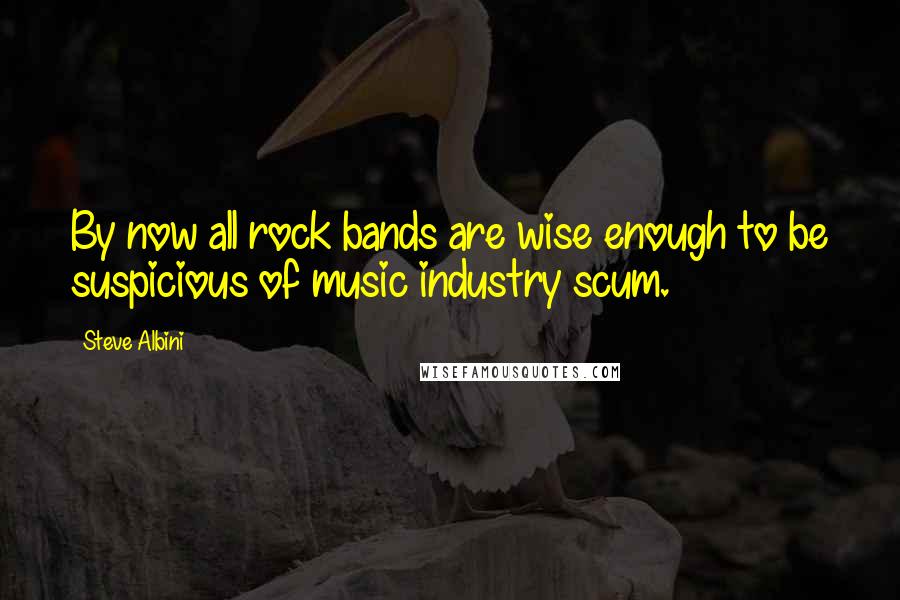 Steve Albini Quotes: By now all rock bands are wise enough to be suspicious of music industry scum.