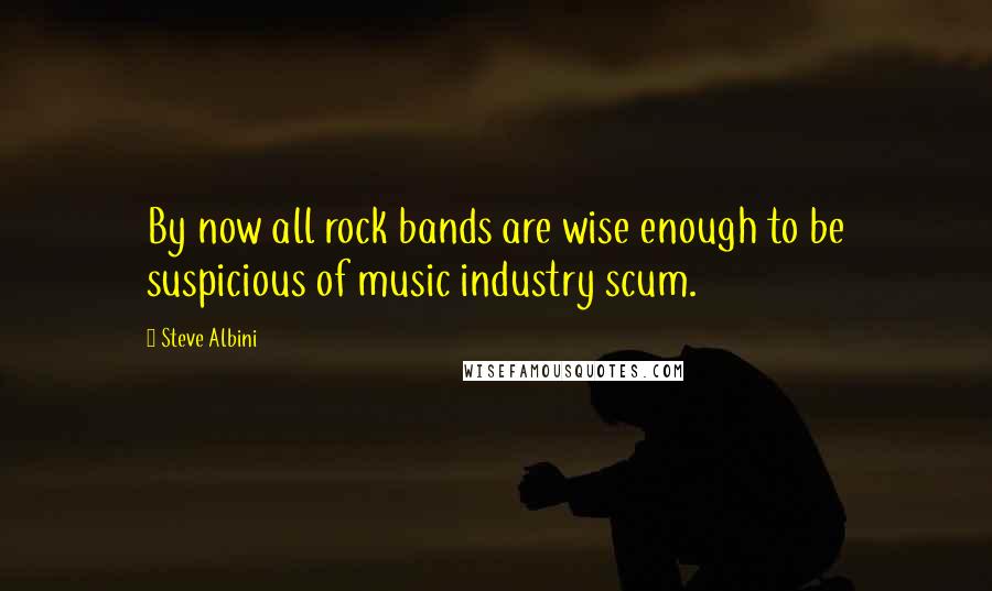 Steve Albini Quotes: By now all rock bands are wise enough to be suspicious of music industry scum.