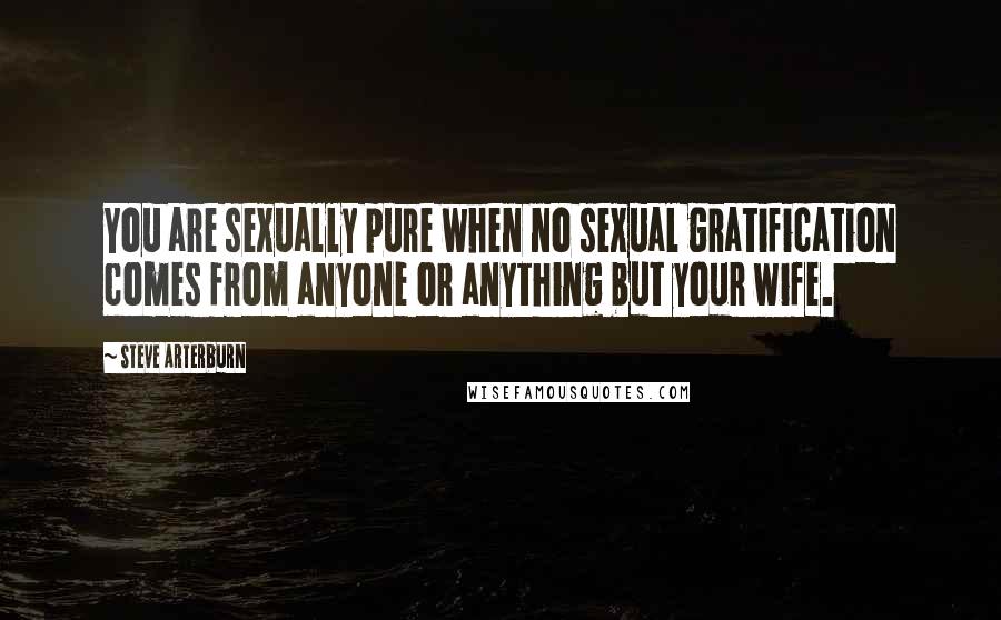 Steve Arterburn Quotes: You are sexually pure when no sexual gratification comes from anyone or anything but your wife.