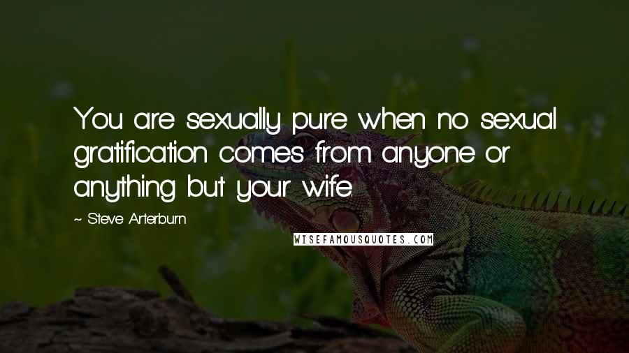 Steve Arterburn Quotes: You are sexually pure when no sexual gratification comes from anyone or anything but your wife.