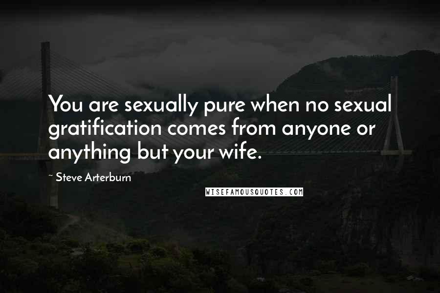 Steve Arterburn Quotes: You are sexually pure when no sexual gratification comes from anyone or anything but your wife.