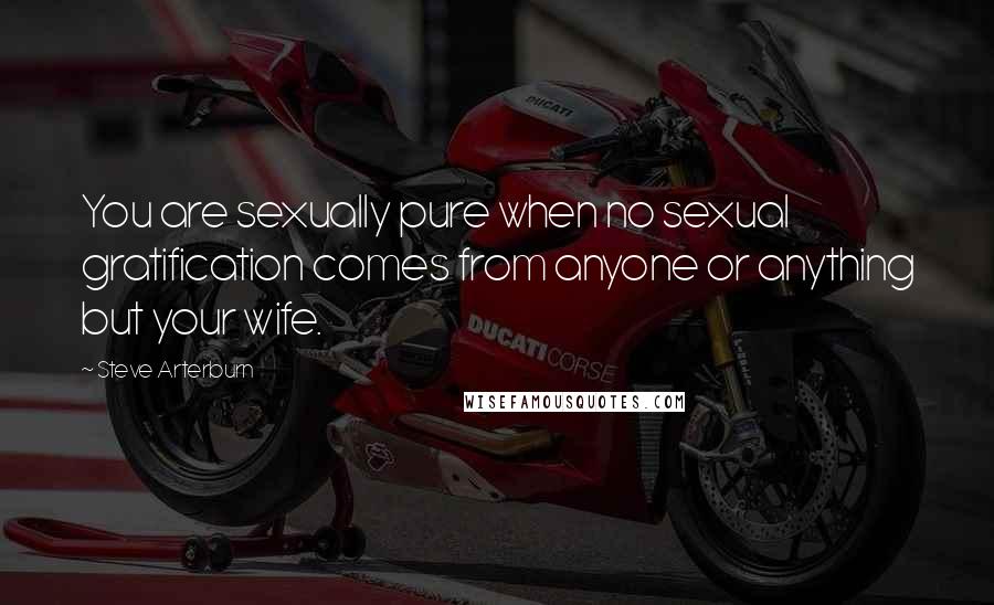 Steve Arterburn Quotes: You are sexually pure when no sexual gratification comes from anyone or anything but your wife.