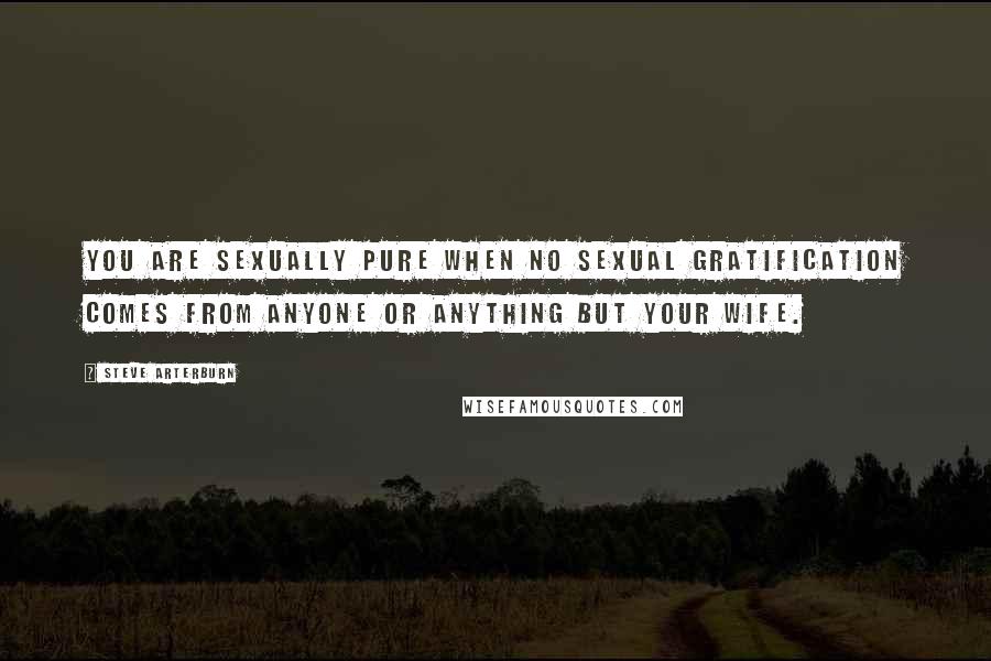 Steve Arterburn Quotes: You are sexually pure when no sexual gratification comes from anyone or anything but your wife.