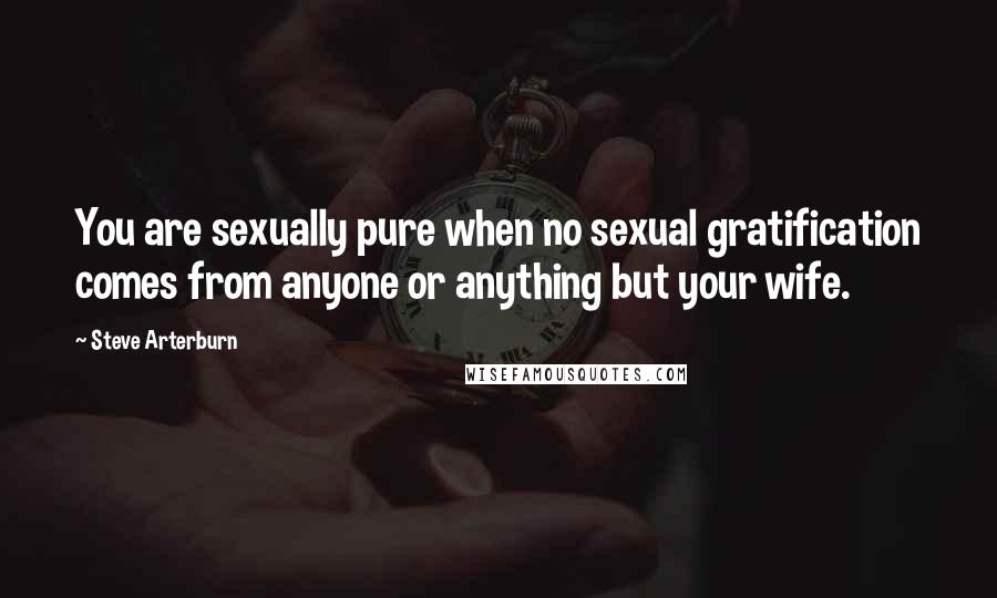 Steve Arterburn Quotes: You are sexually pure when no sexual gratification comes from anyone or anything but your wife.