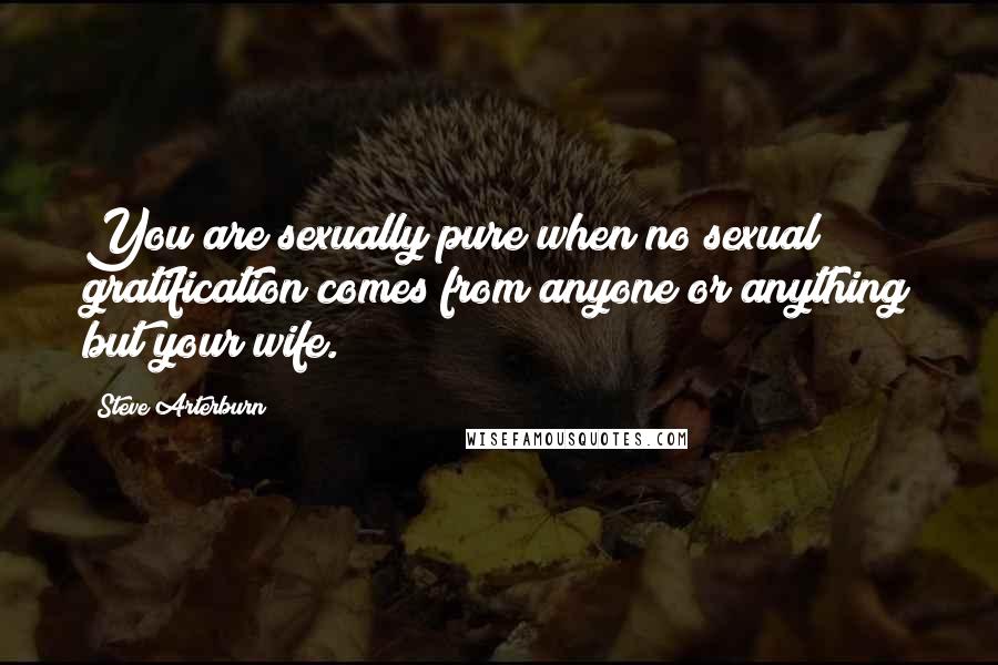 Steve Arterburn Quotes: You are sexually pure when no sexual gratification comes from anyone or anything but your wife.