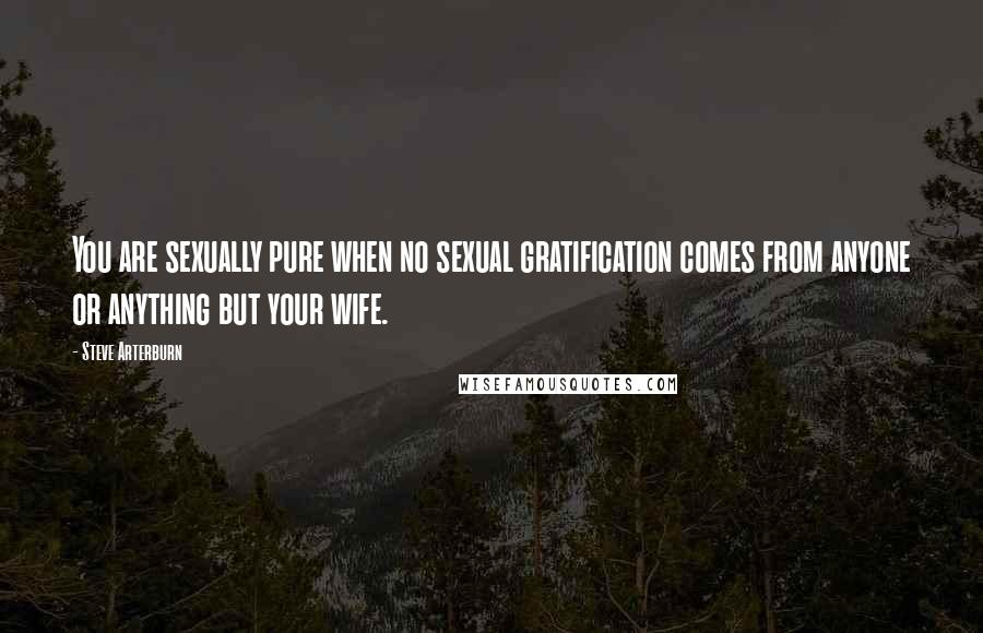 Steve Arterburn Quotes: You are sexually pure when no sexual gratification comes from anyone or anything but your wife.
