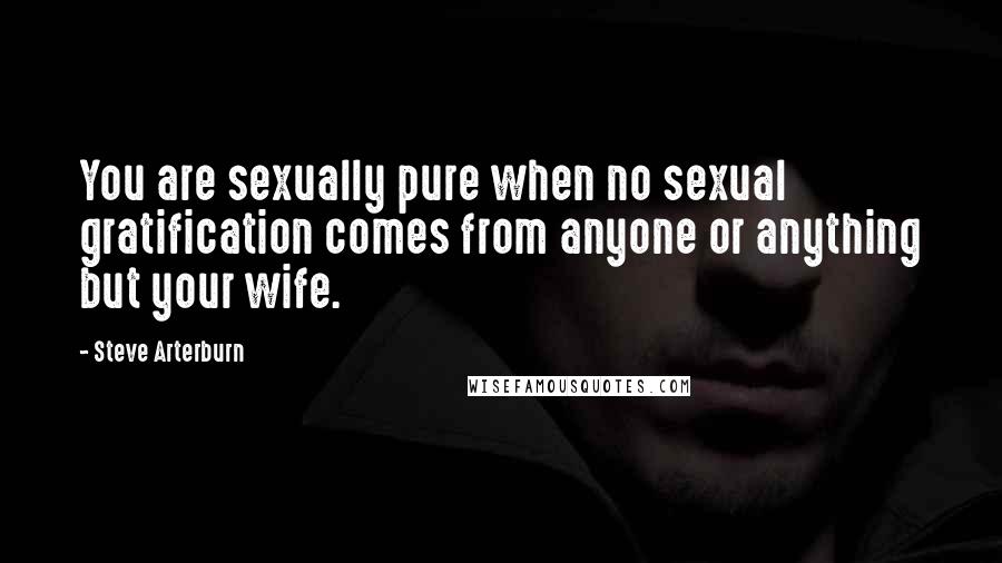 Steve Arterburn Quotes: You are sexually pure when no sexual gratification comes from anyone or anything but your wife.