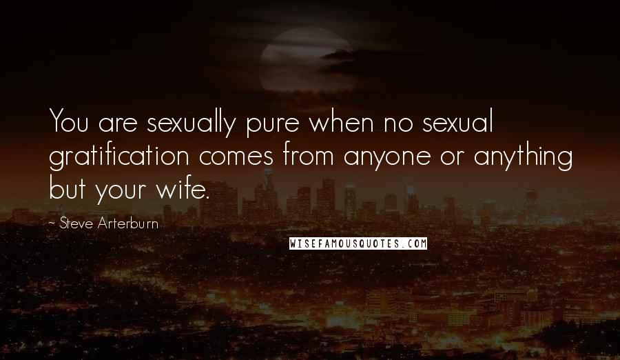 Steve Arterburn Quotes: You are sexually pure when no sexual gratification comes from anyone or anything but your wife.