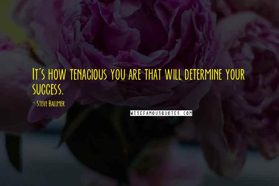 Steve Ballmer Quotes: It's how tenacious you are that will determine your success.