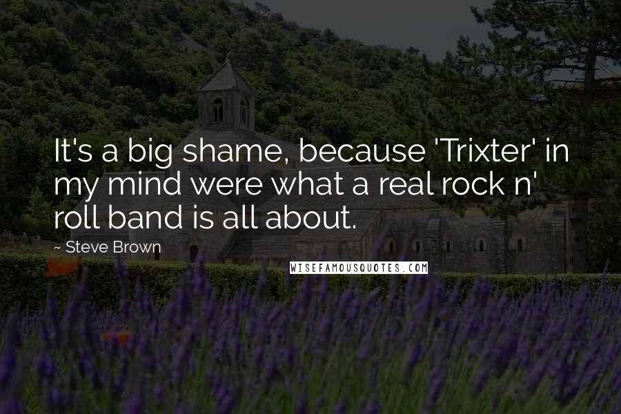 Steve Brown Quotes: It's a big shame, because 'Trixter' in my mind were what a real rock n' roll band is all about.