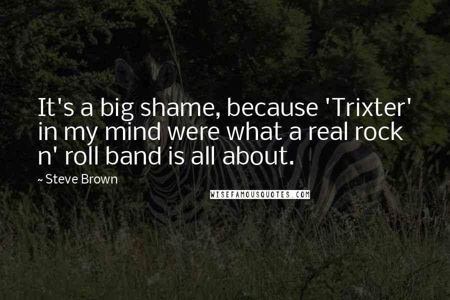Steve Brown Quotes: It's a big shame, because 'Trixter' in my mind were what a real rock n' roll band is all about.