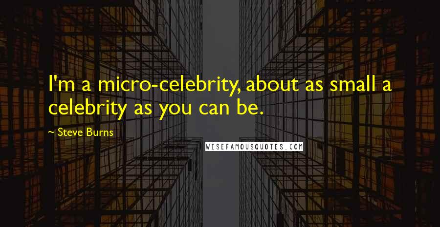 Steve Burns Quotes: I'm a micro-celebrity, about as small a celebrity as you can be.