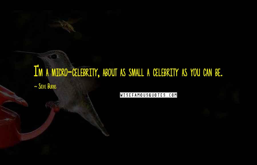 Steve Burns Quotes: I'm a micro-celebrity, about as small a celebrity as you can be.