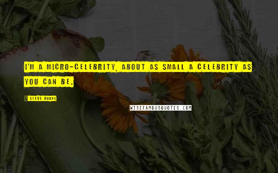Steve Burns Quotes: I'm a micro-celebrity, about as small a celebrity as you can be.
