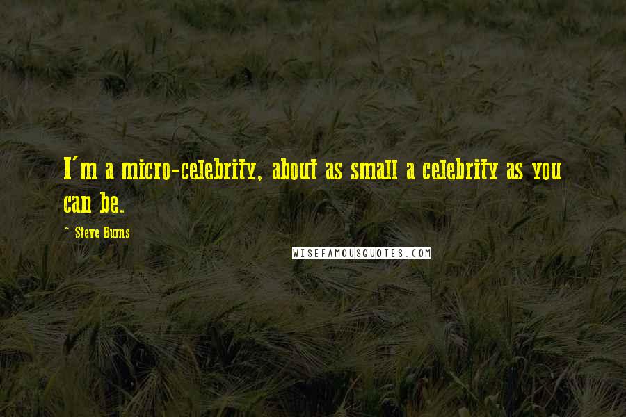 Steve Burns Quotes: I'm a micro-celebrity, about as small a celebrity as you can be.