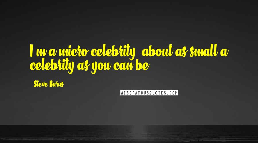 Steve Burns Quotes: I'm a micro-celebrity, about as small a celebrity as you can be.