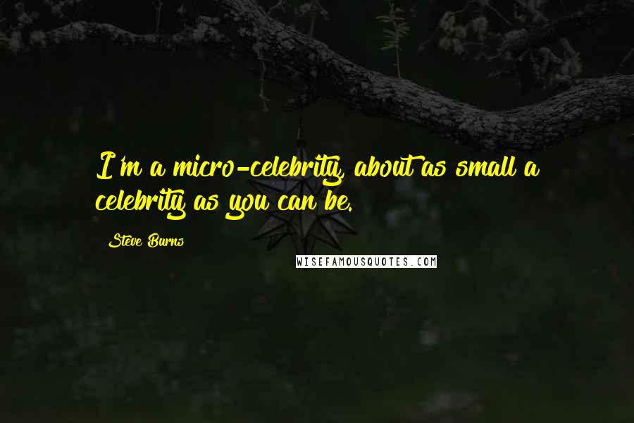 Steve Burns Quotes: I'm a micro-celebrity, about as small a celebrity as you can be.
