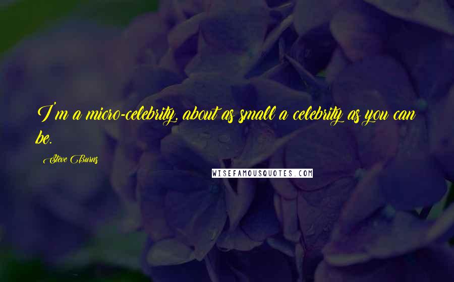 Steve Burns Quotes: I'm a micro-celebrity, about as small a celebrity as you can be.