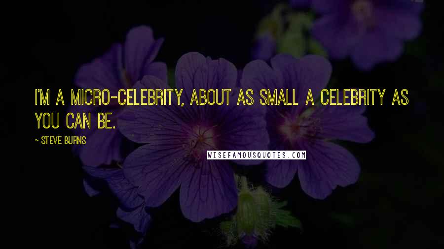 Steve Burns Quotes: I'm a micro-celebrity, about as small a celebrity as you can be.