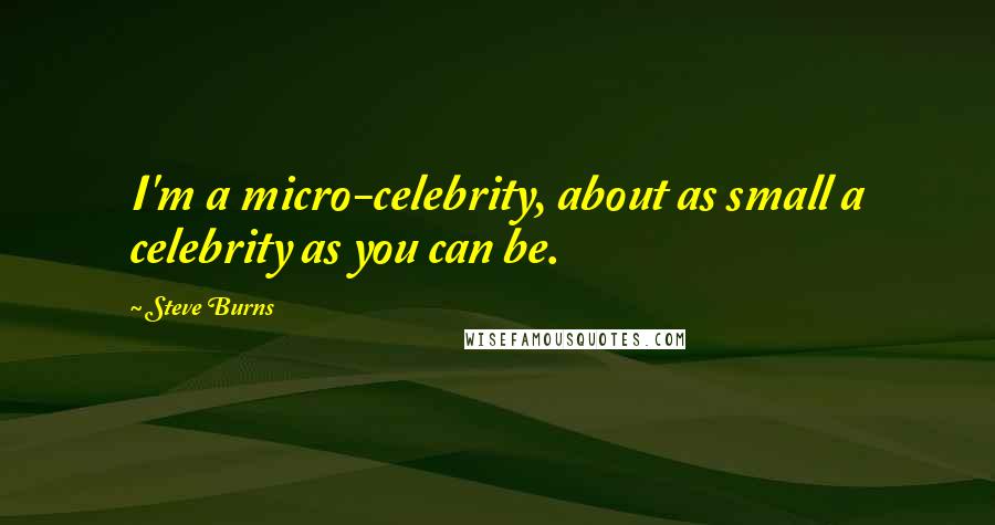Steve Burns Quotes: I'm a micro-celebrity, about as small a celebrity as you can be.