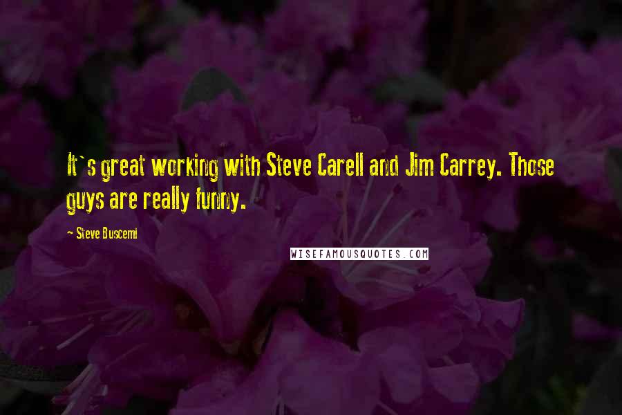 Steve Buscemi Quotes: It's great working with Steve Carell and Jim Carrey. Those guys are really funny.