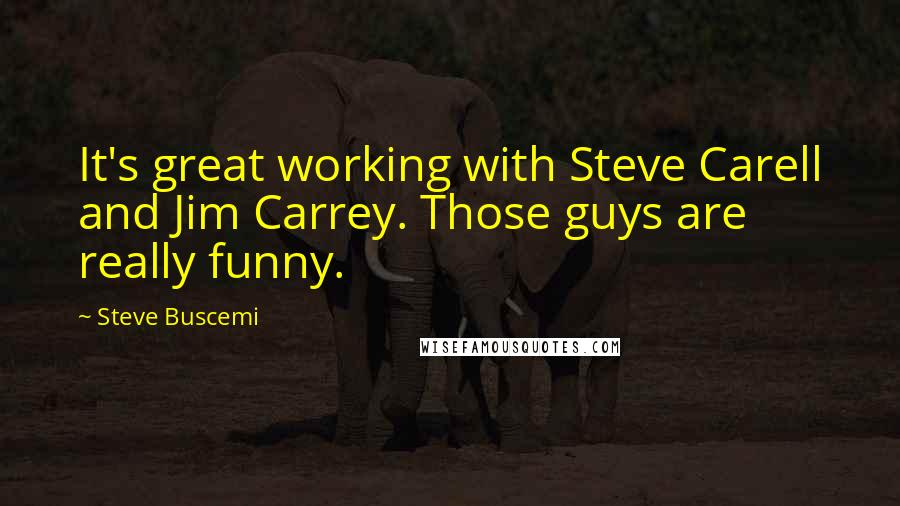 Steve Buscemi Quotes: It's great working with Steve Carell and Jim Carrey. Those guys are really funny.