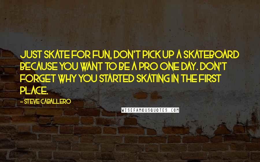 Steve Caballero Quotes: Just skate for fun, don't pick up a skateboard because you want to be a pro one day. Don't forget why you started skating in the first place.