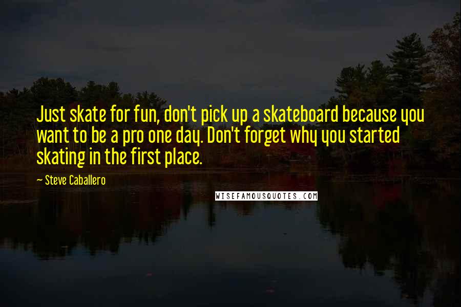 Steve Caballero Quotes: Just skate for fun, don't pick up a skateboard because you want to be a pro one day. Don't forget why you started skating in the first place.