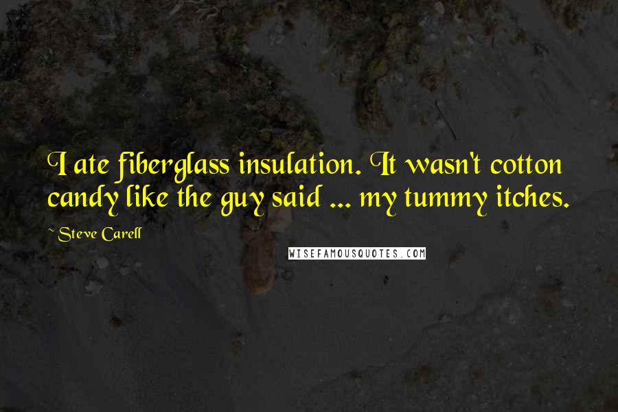 Steve Carell Quotes: I ate fiberglass insulation. It wasn't cotton candy like the guy said ... my tummy itches.