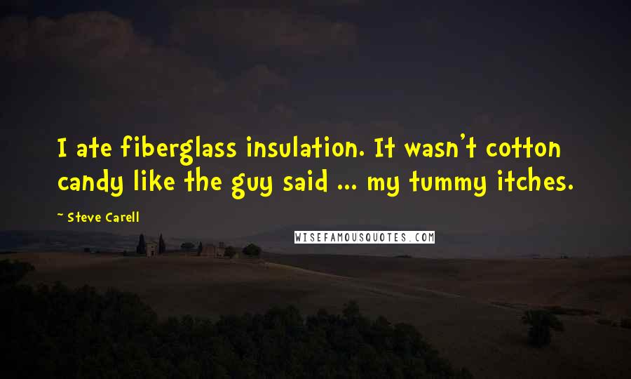 Steve Carell Quotes: I ate fiberglass insulation. It wasn't cotton candy like the guy said ... my tummy itches.