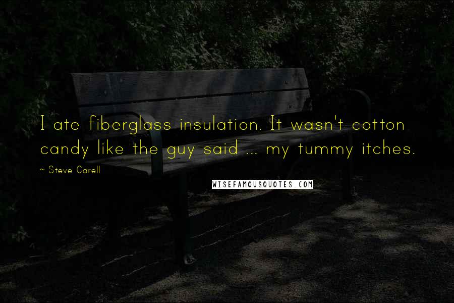 Steve Carell Quotes: I ate fiberglass insulation. It wasn't cotton candy like the guy said ... my tummy itches.