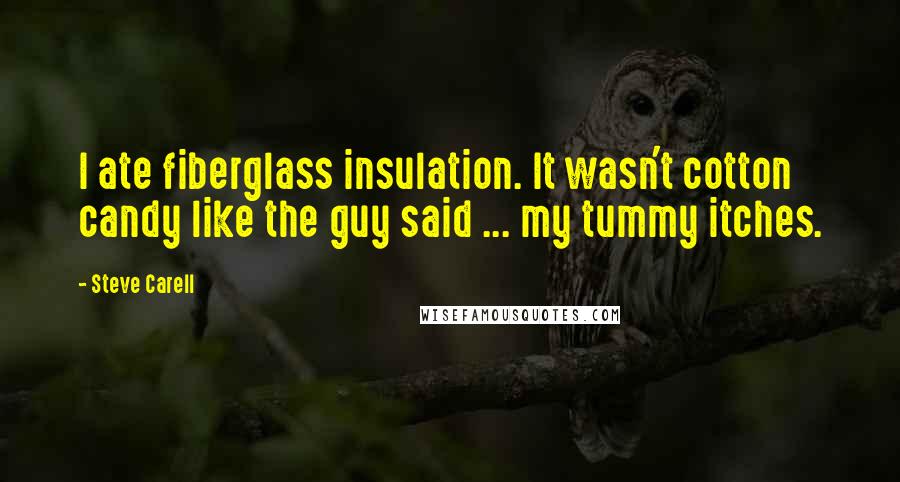 Steve Carell Quotes: I ate fiberglass insulation. It wasn't cotton candy like the guy said ... my tummy itches.