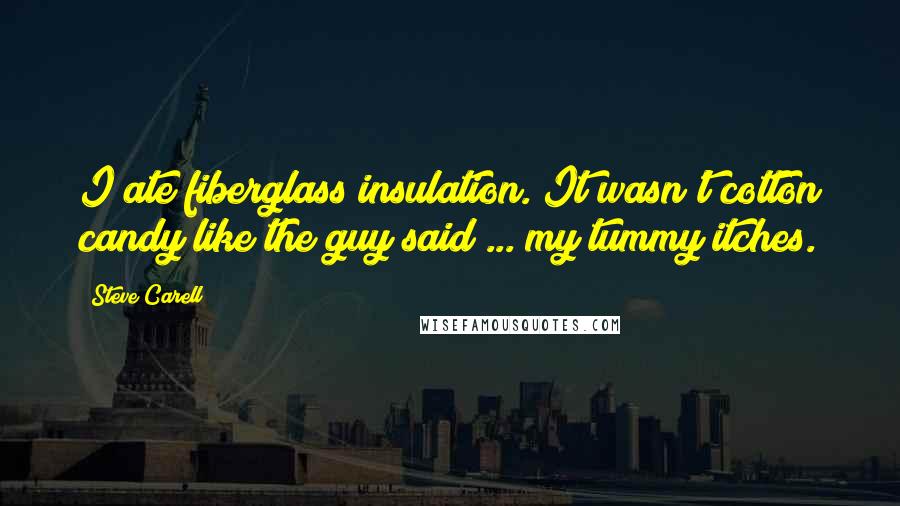 Steve Carell Quotes: I ate fiberglass insulation. It wasn't cotton candy like the guy said ... my tummy itches.