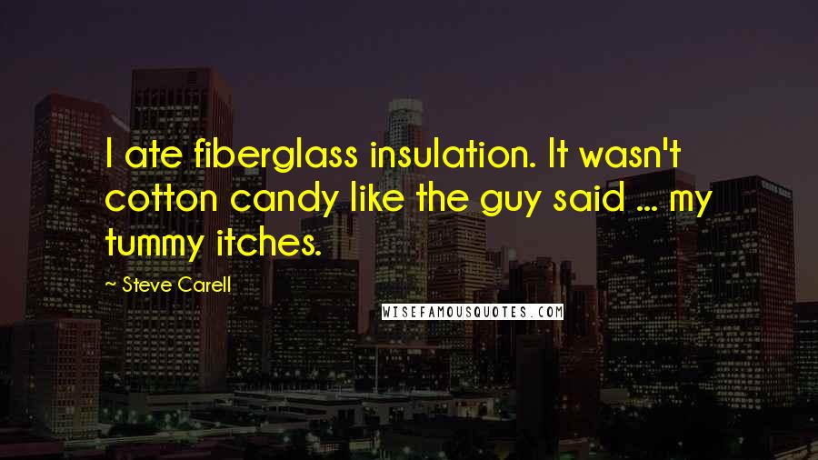 Steve Carell Quotes: I ate fiberglass insulation. It wasn't cotton candy like the guy said ... my tummy itches.