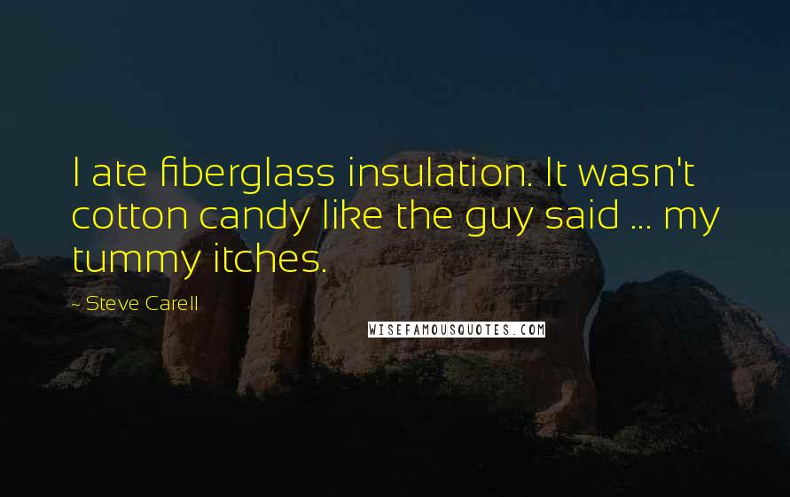 Steve Carell Quotes: I ate fiberglass insulation. It wasn't cotton candy like the guy said ... my tummy itches.