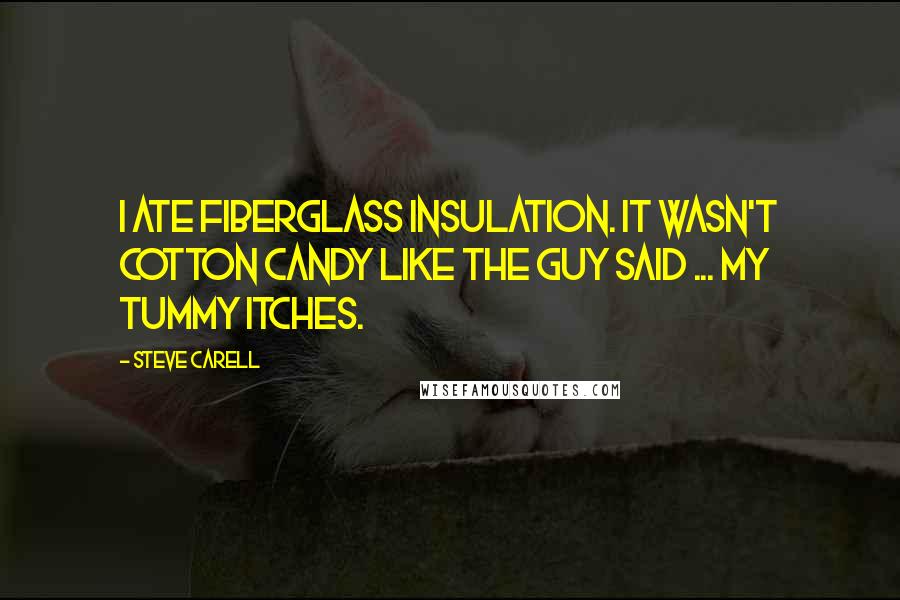 Steve Carell Quotes: I ate fiberglass insulation. It wasn't cotton candy like the guy said ... my tummy itches.