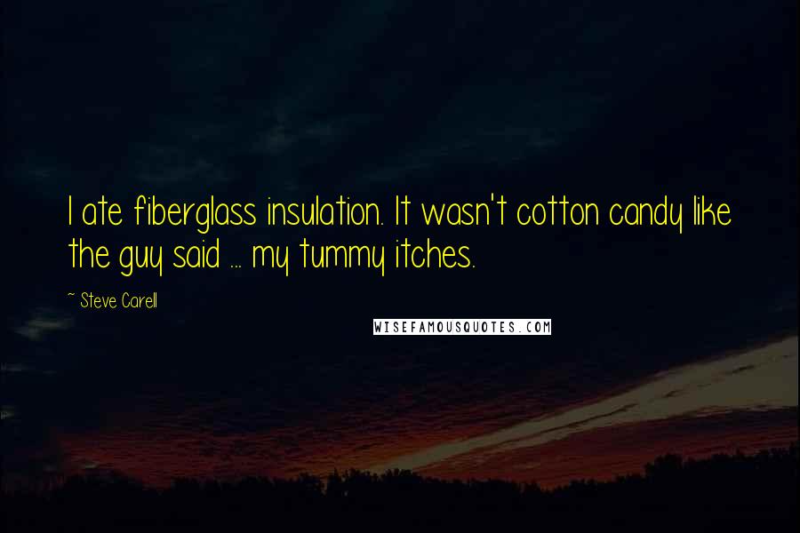 Steve Carell Quotes: I ate fiberglass insulation. It wasn't cotton candy like the guy said ... my tummy itches.