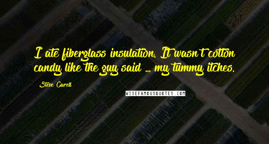 Steve Carell Quotes: I ate fiberglass insulation. It wasn't cotton candy like the guy said ... my tummy itches.