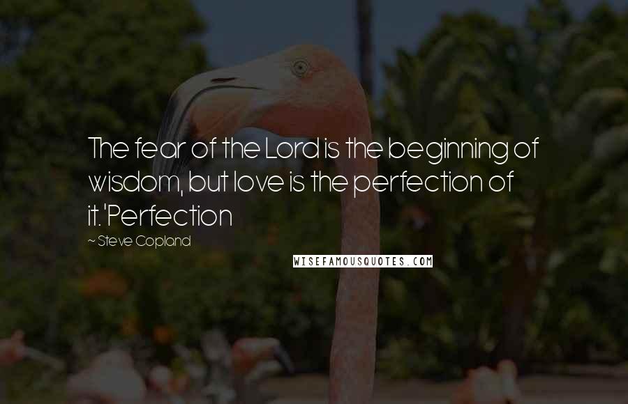 Steve Copland Quotes: The fear of the Lord is the beginning of wisdom, but love is the perfection of it.'Perfection